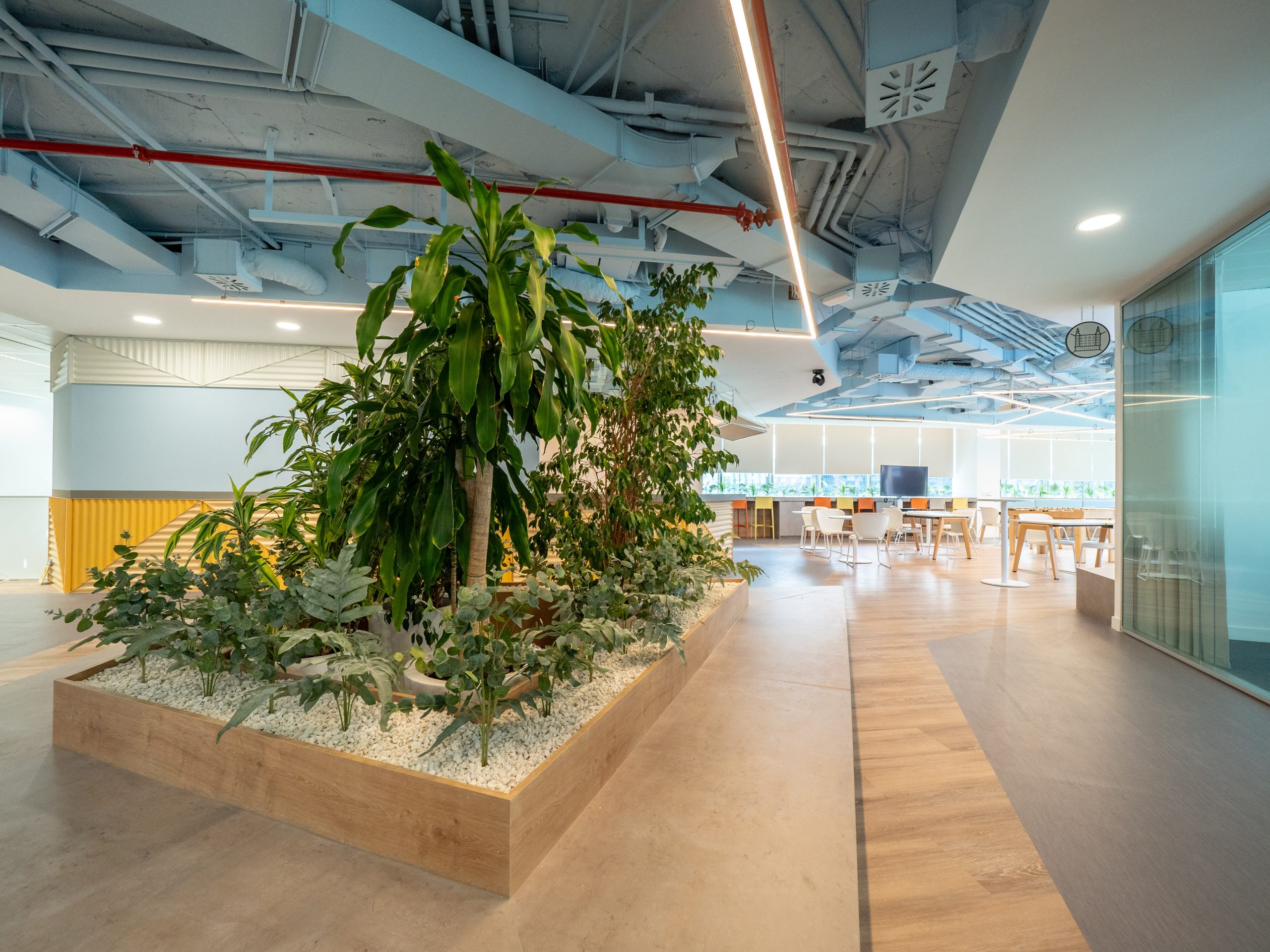 Area comunes y disenos